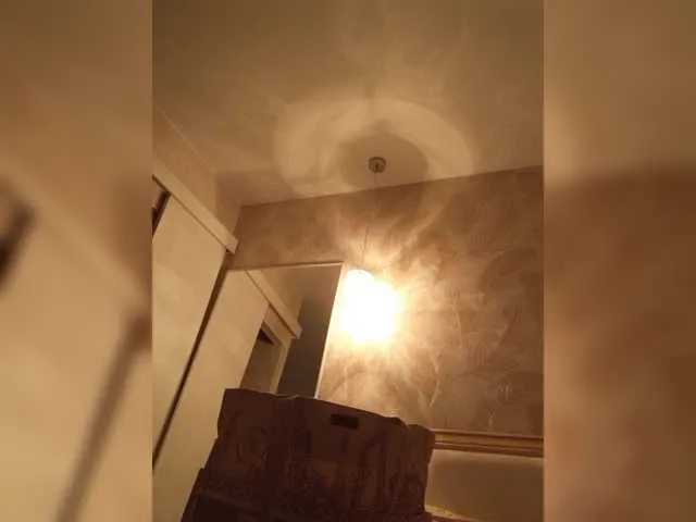 Offline -Smetanka- on BongaCams