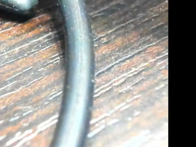 Freechat alisa877 on BongaCams