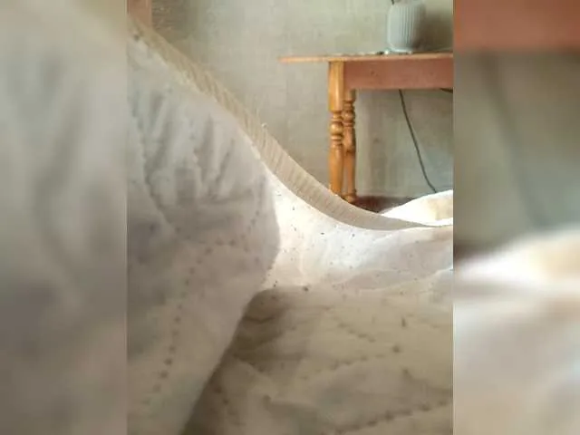 Bipara1 on BongaCams