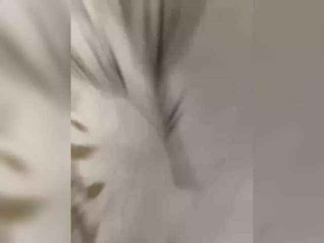 Freechat Essss33331 on BongaCams