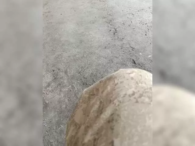 Freechat family2020 on BongaCams