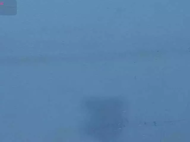 Offline Harsh-mode on BongaCams