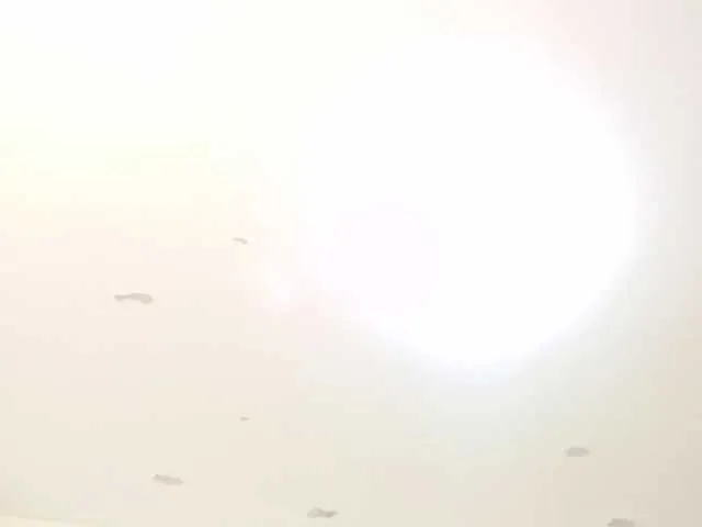 JimmyPamela on BongaCams 