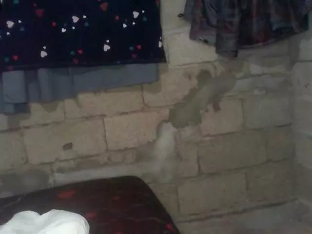 naomiyfabian on BongaCams