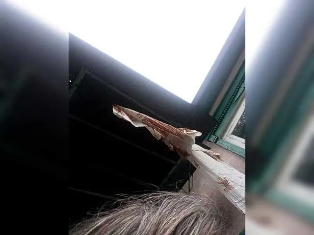 Offline NormaHall on BongaCams