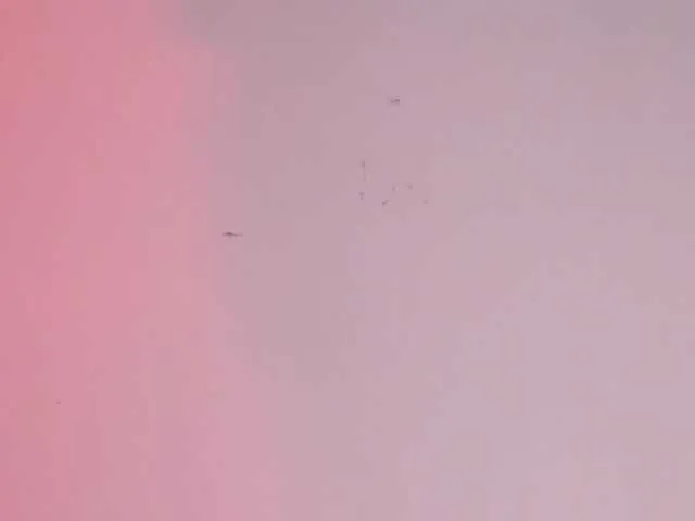 Pamela-Velvet — Sound of tips $ -
Vibrations in my pussy -
To be #1