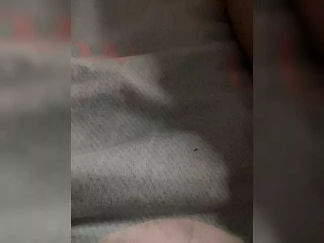 Freechat Riga-5 on BongaCams