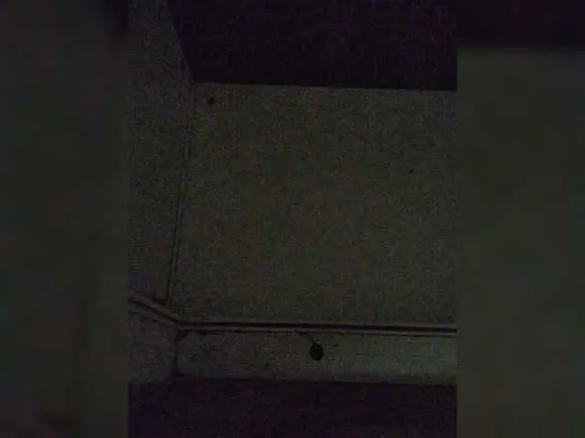 TvoiMinet — Freechat on BongaCams