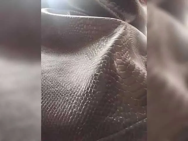 Offline ula2015 on BongaCams