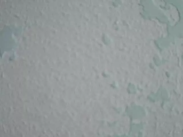 YoloLove on BongaCams 