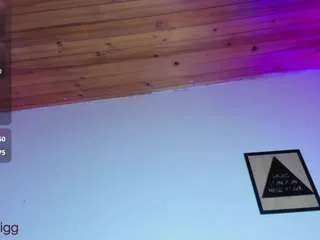 Offline harmony-big-breasts on CamSoda