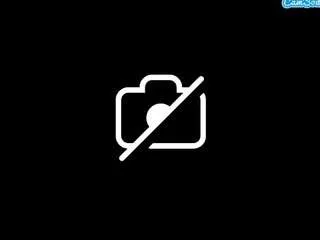 Offline sexyserafine on CamSoda