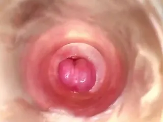 Freechat shannon-kane on CamSoda