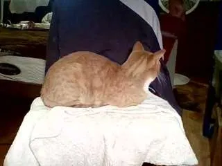 Offline timmcginnity on CamSoda