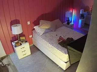 Offline voyeurcam-casa-salsa-bedroom-5 on CamSoda