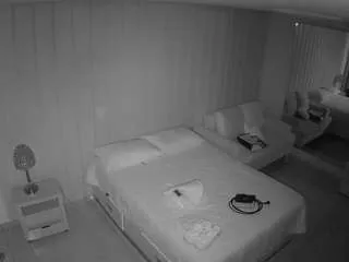 Offline voyeurcam-casa-salsa-bedroom-5 on CamSoda