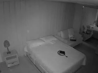 Offline voyeurcam-casa-salsa-bedroom-5 on CamSoda