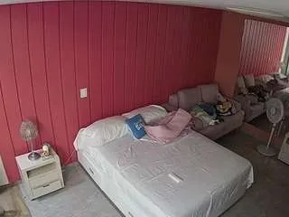 Offline voyeurcam-casa-salsa-bedroom-5 on CamSoda