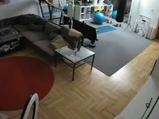 Offline voyeurcam-julmodels-living-2 on CamSoda