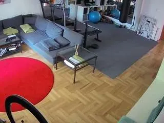 Offline voyeurcam-julmodels-living-2 on CamSoda