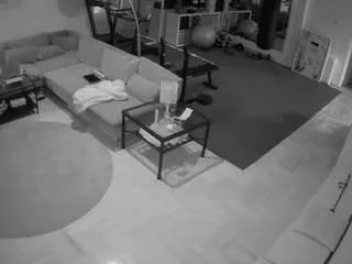 Offline voyeurcam-julmodels-living-2 on CamSoda