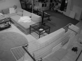 Offline voyeurcam-julmodels-living-2 on CamSoda