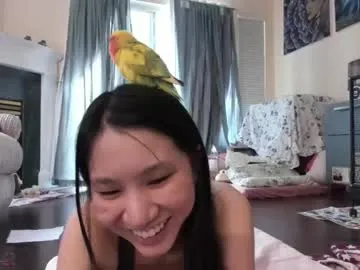 Offline alizezaide on Chaturbate