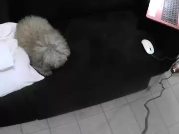 anna_leggy_cd from Chaturbate