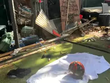 Offline bigmanaround9 on Chaturbate