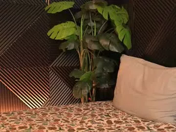 Offline inaccessibles on Chaturbate