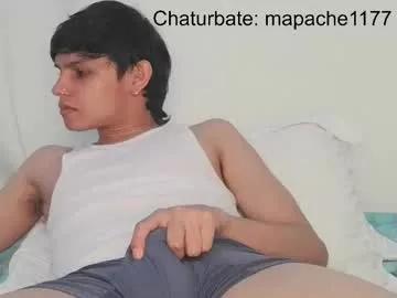mapache1177 from Chaturbate