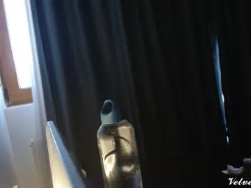 velvetkissxo on Chaturbate