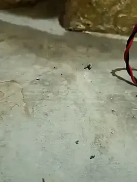 Offline 69_Pose_Sex on StripChat