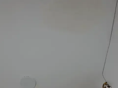 Offline Alice_pussyhairy on StripChat