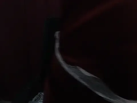 Offline Anita_Model on StripChat