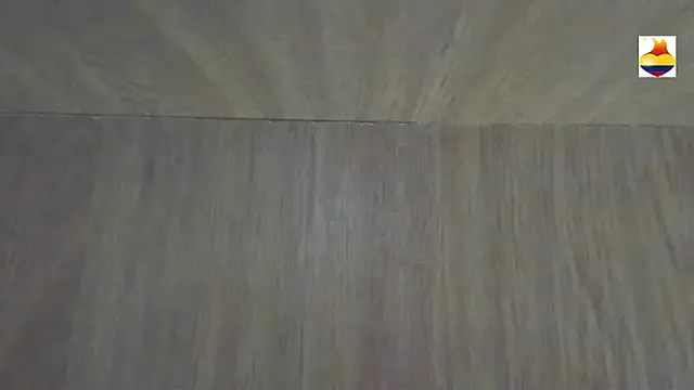 Offline BARBYCHOCOLAT on StripChat