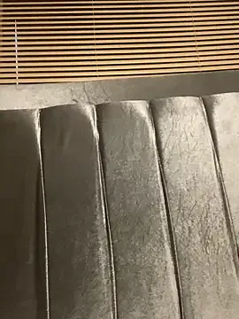 Offline cody_fox10 on StripChat