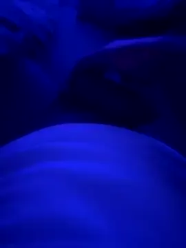 couple17 on StripChat