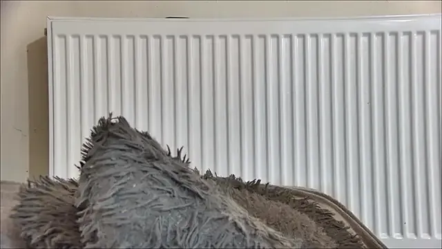 Offline curvyana69 on StripChat