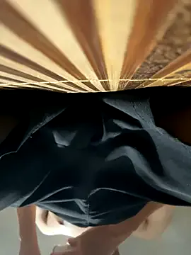 Offline CZpublic on StripChat