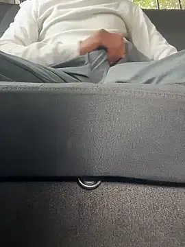 Dickey-B-RSA — Undress the shirt