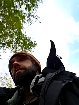 Offline Fuckboy4public on StripChat