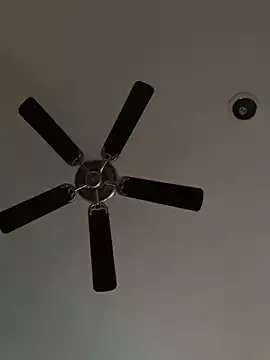 Offline goldbuni on StripChat