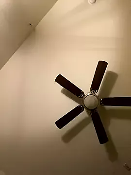 Offline goldbuni on StripChat