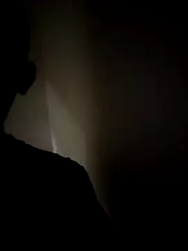 Offline himNIGuys on StripChat