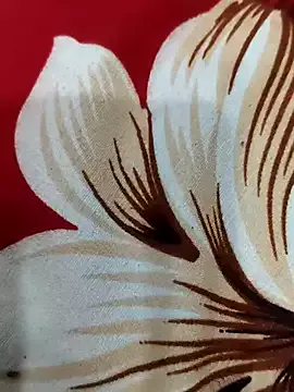 Group hot_plak on StripChat