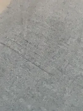 Group hot_plak on StripChat