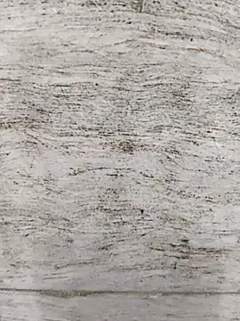 hot_plak — Freechat on StripChat