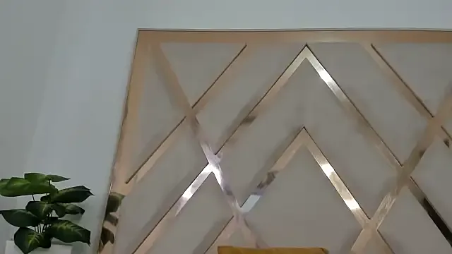 Private indiraasm on StripChat