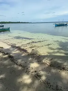 Offline LilliThelo on StripChat